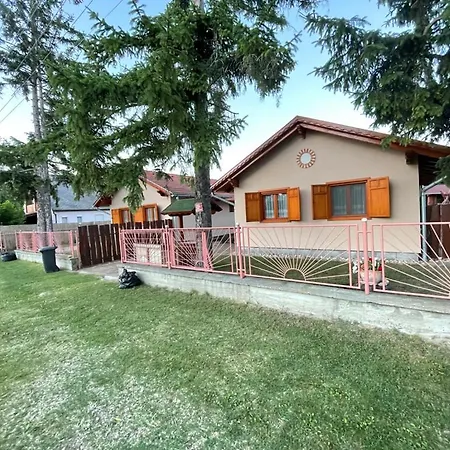 Toelgyfa